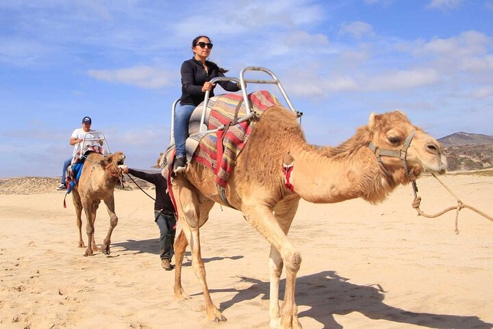 Camel Desert Ride Experience in Cabo - Photo 1 of 4