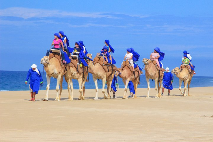 Beach Camel ride