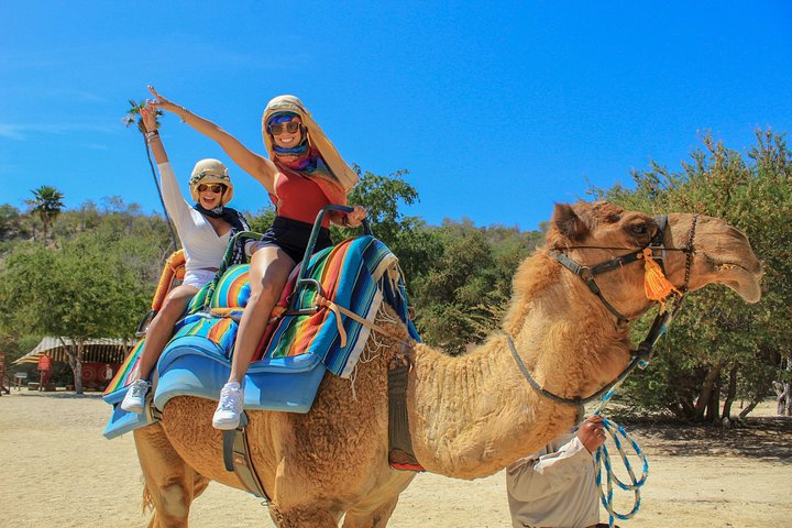 Camel Quest with Snacks & Waterslides - Photo 1 of 9