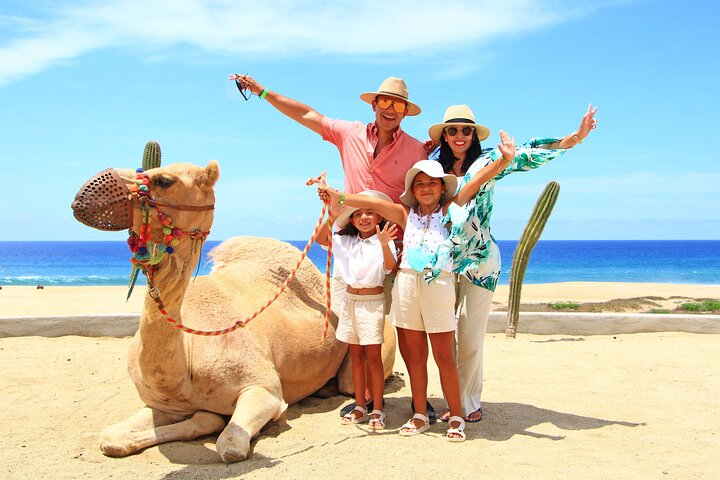 Camel Ride Experience in Los Cabos with Pick up and Lunch - Photo 1 of 6