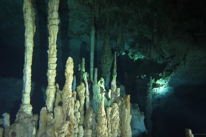 Cenote diving Dream Gate  - Photo 1 of 6