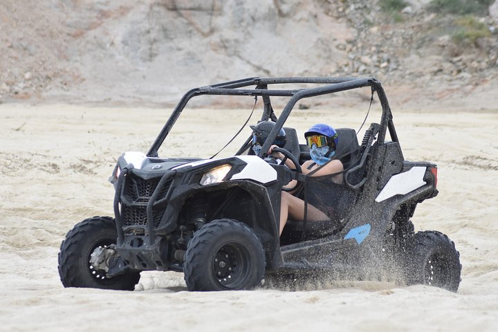 Combo Double Utv + Horses - Photo 1 of 9