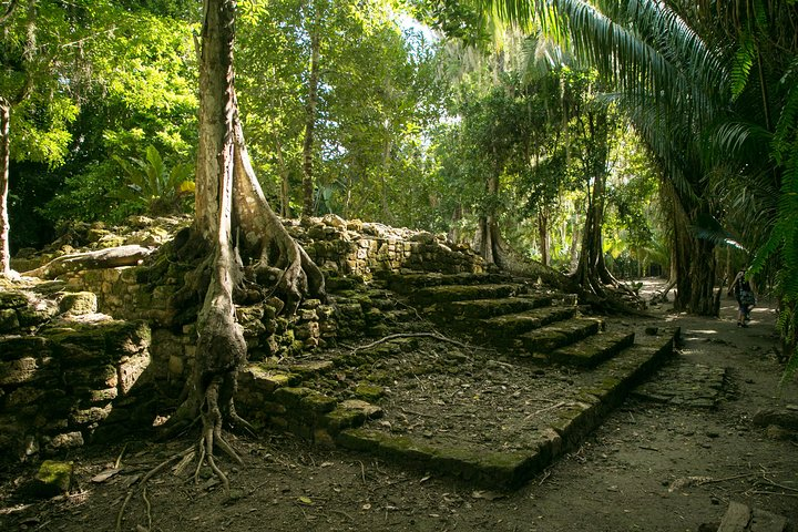 Costa Maya Shore Excursion: Chacchoben Day Trip - Photo 1 of 16