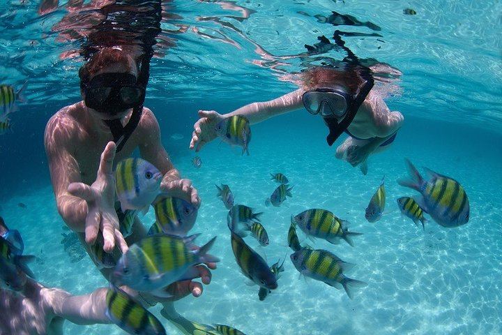 Costa Maya Snorkel Tour - Photo 1 of 4