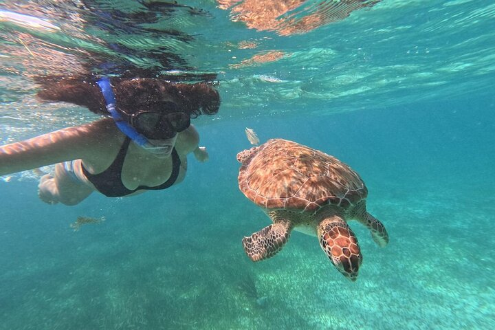 Costa maya ,snorkeling tours with turtles and reef - Photo 1 of 21