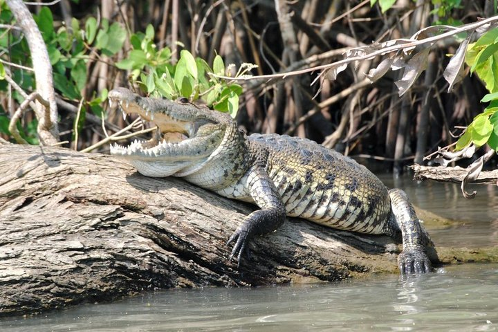 Croc´s & Turtle Aquarium - Photo 1 of 18