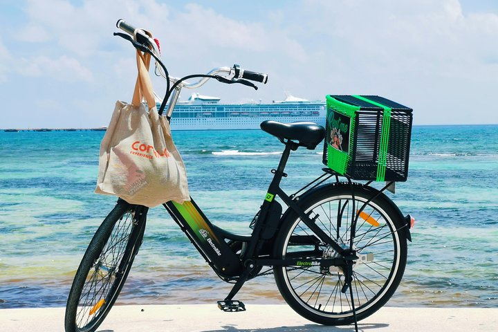 CRUISE GUEST Electric Bike - Photo 1 of 14