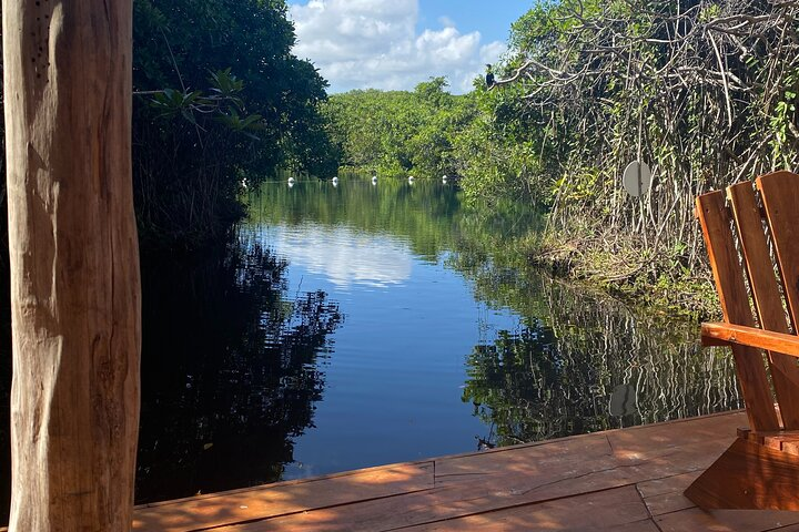 Daily Pass to Cenote Aldea Mangle in Tulum - Photo 1 of 21