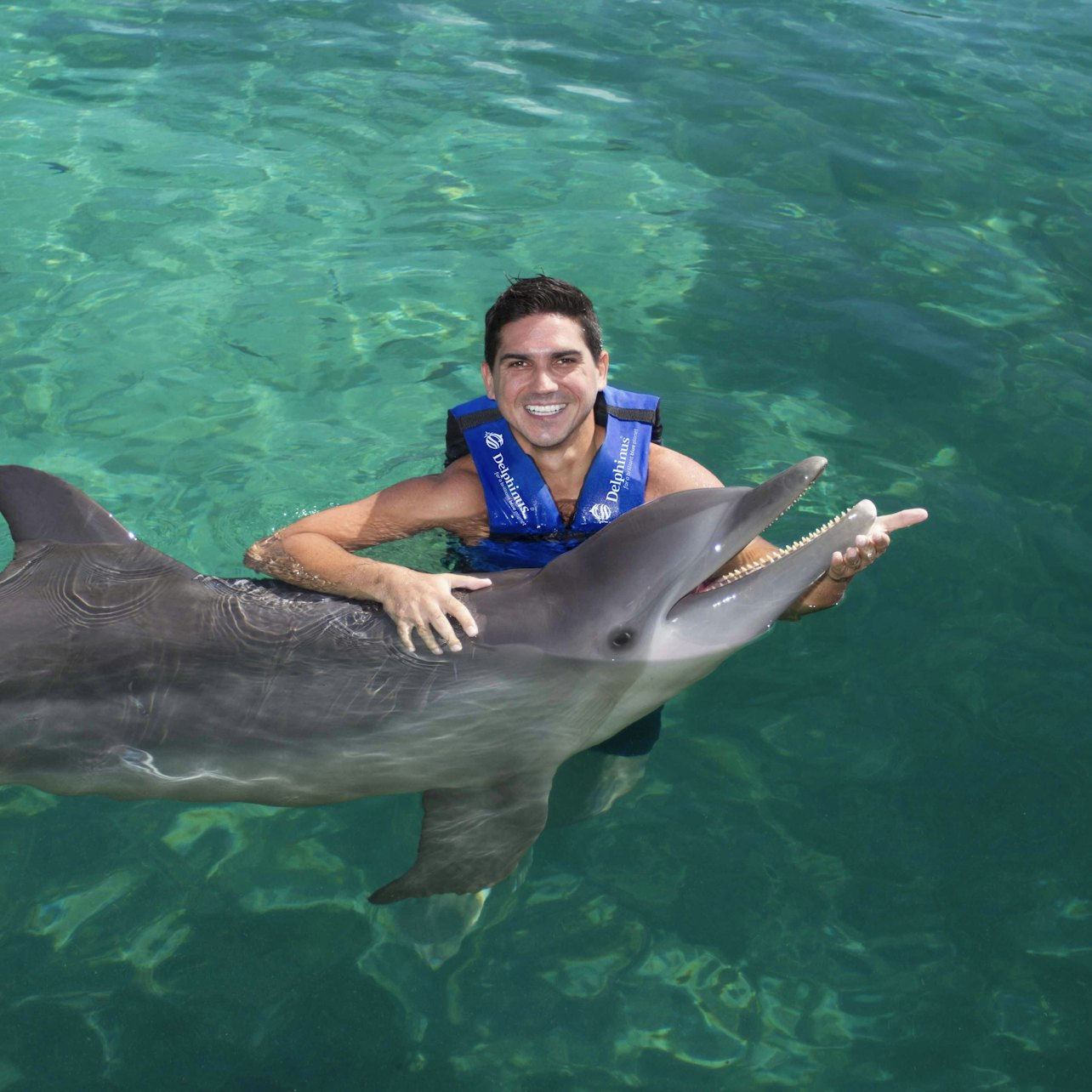 Delphinus Xcaret: Swim with Dolphins - Photo 1 of 6