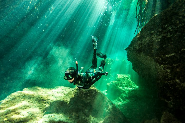 Freediving among the mangroves. Photo credit @aqualens_mx