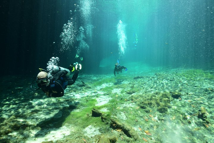 Discover Scuba Diving in Tulum - Photo 1 of 7