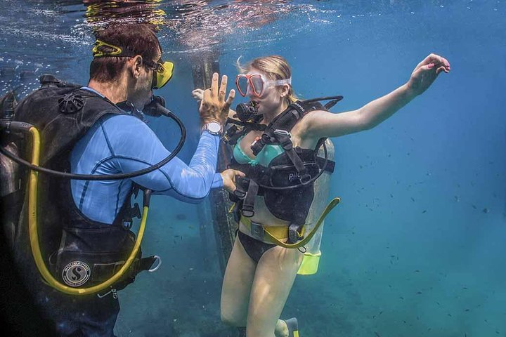 Discover Scuba experience at Las Caletas, Puerto Vallarta - Photo 1 of 10