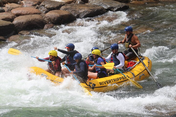 Durango "4.5 Half-Day" Rafting Trip Down the Animas River - Photo 1 of 4