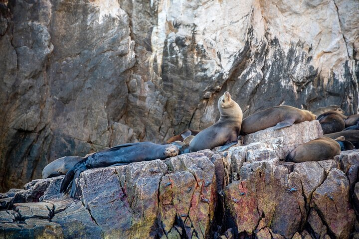 Espiritu Santo Island Tour - Photo 1 of 10