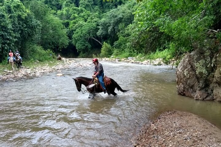 Experience Horse Riding, ATV & Zipline from Puerto Vallarta - Photo 1 of 6