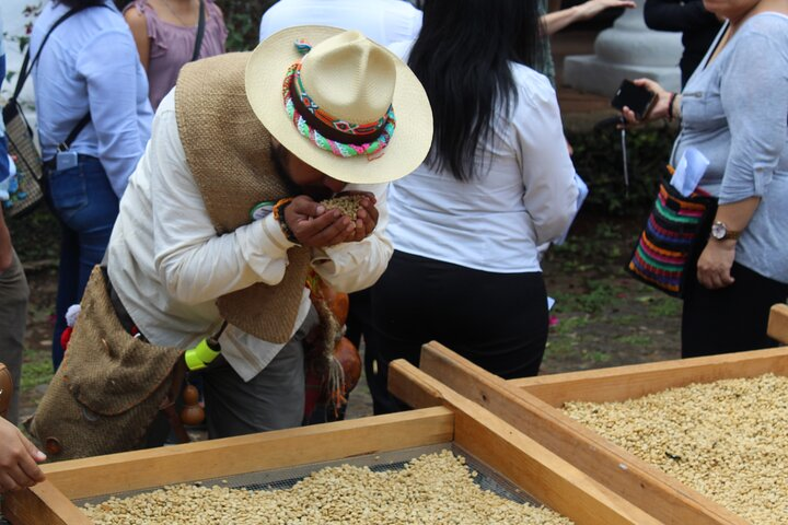 Full Day Coffee Guided Tour in Coatepec - Photo 1 of 13