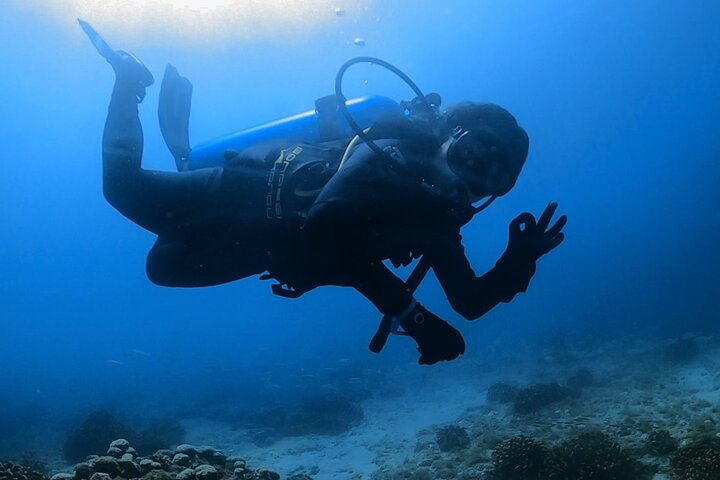 Full Day Diving in Cerralvo Island with or without Experience - Photo 1 of 5