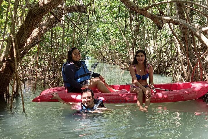 Full Day Guided Mangrove Bote Ride & Sisal Beach Time - Photo 1 of 19