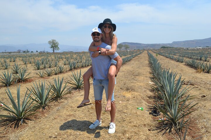 Full Day Guided Tour in Amatitán and Tequila with Tasting - Photo 1 of 7