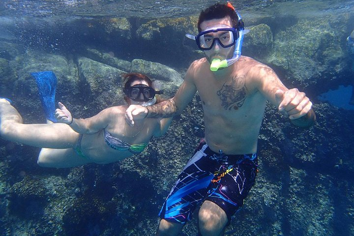 Enjoy a great snorkeling tour