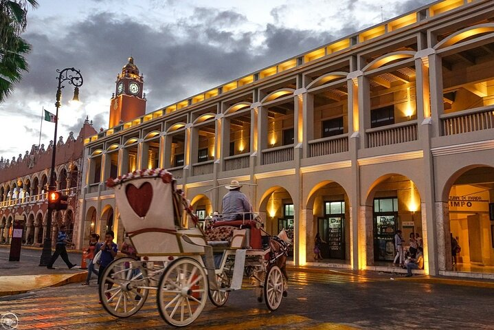 Guided bus tour of the City of Mérida - Photo 1 of 9