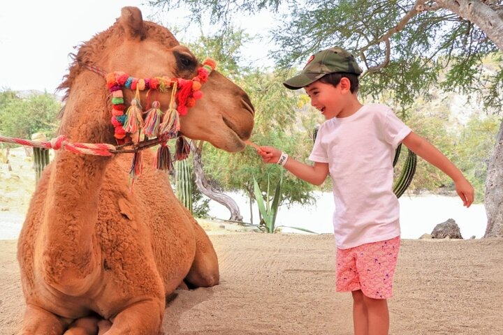 Guided Canyon Camel Ride in Wild Canyon Adventure Park - Photo 1 of 7