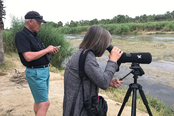 Visitors enjoy bird-watching 