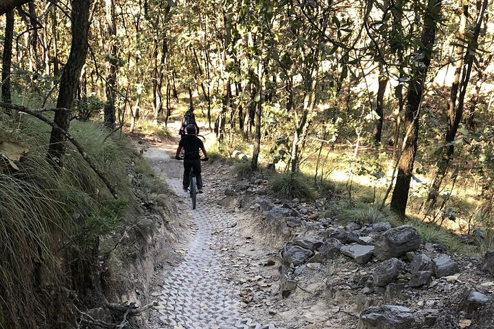 Half Day enduro bike Tour to La Primavera Forest. - Photo 1 of 21