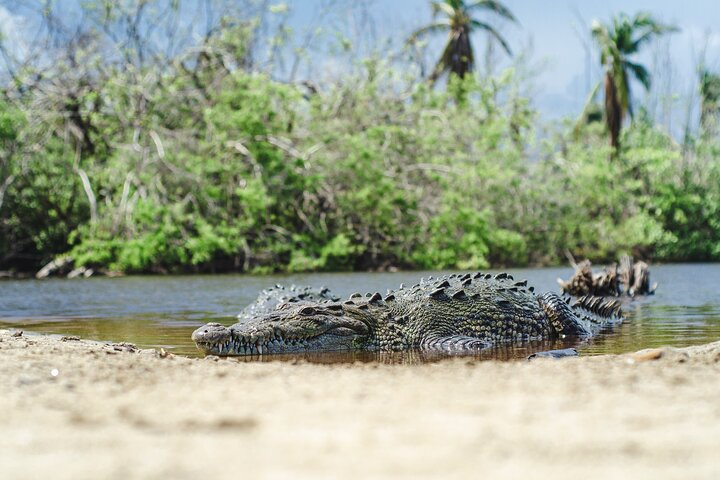 Half-Day Tour to Ventanilla, Mazunte, Zipolite and Puerto Angel - Photo 1 of 13