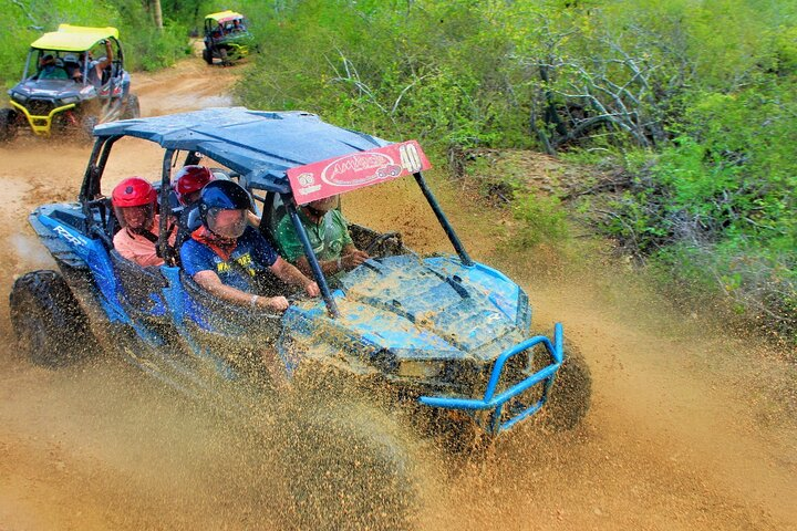 Half-day Wild Desert Polaris Razor UTV Tour - Photo 1 of 10