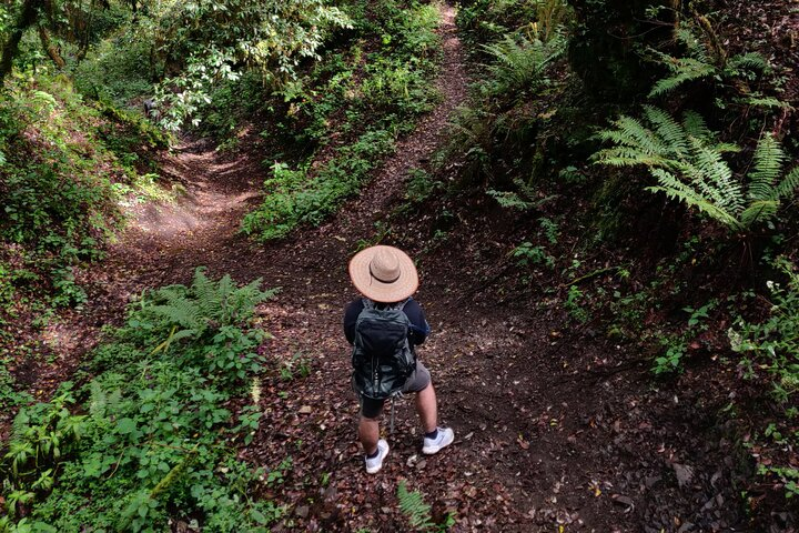 Hike through the forest of the Sierra Norte de Oaxaca - Photo 1 of 25