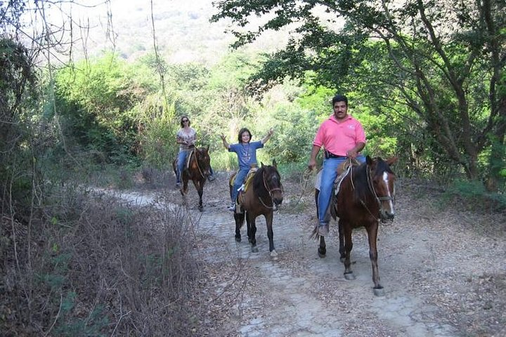 Horse Back Riding With Danitours Montain Rural Areas And Sand Beach - Photo 1 of 3