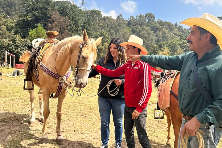 Horse experience with my family - Photo 1 of 11