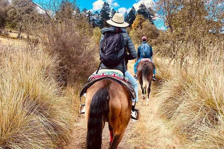 Horseback in the mountains & Food in our ranch - Photo 1 of 19