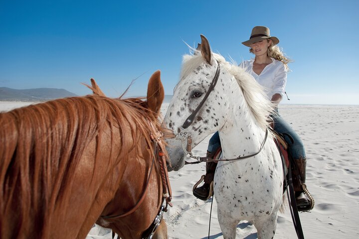 Horseback Riding Beach & Desert Adventure - Photo 1 of 10