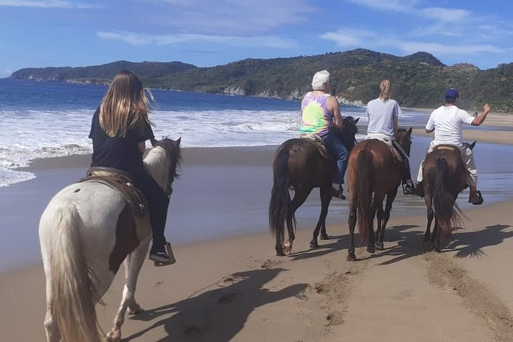 Horseback Riding in Ixtapa Zihuatanejo Mexico