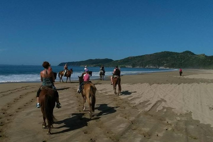 Horseback ride on the Beach