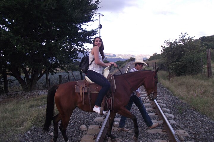 horseback riding agave Fiels