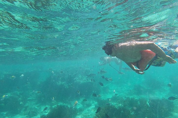 Isla Mujeres MUSA Snorkeling Experience - Photo 1 of 6