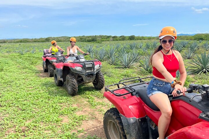 Jungle and beach ATV tour + lunch + tequila tasting - Photo 1 of 25