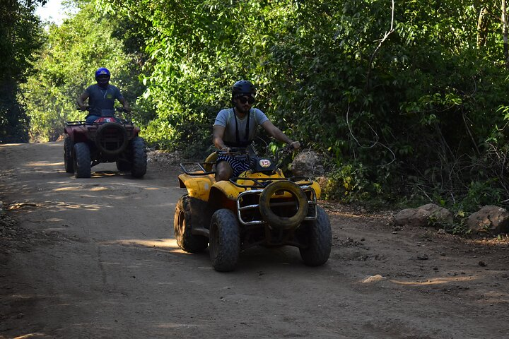 Jungle Tour: ATV Tour, Zip Lines, Cenote and Roundtrip Transportation - Photo 1 of 11