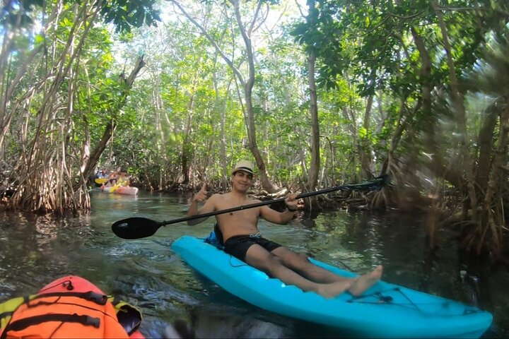 Paths in the Mangroves