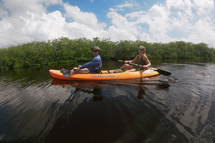 The mangroves and the couple.