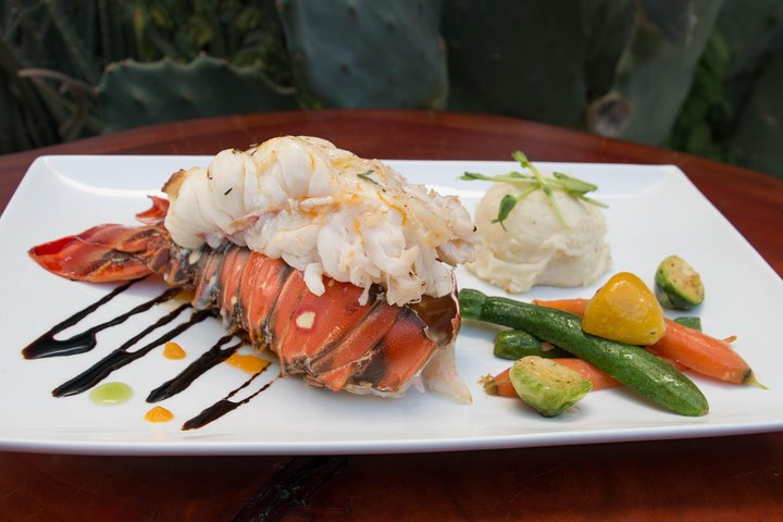 Lobster tail dinner with a private chef right in your villa or condo in Los Cabos by Gourmet Cabo Catering 