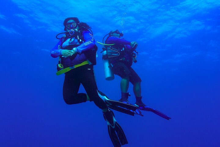 Local reef dives for certified divers - Photo 1 of 8