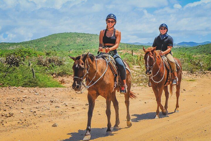 Los Cabos Horseback Riding - Photo 1 of 19