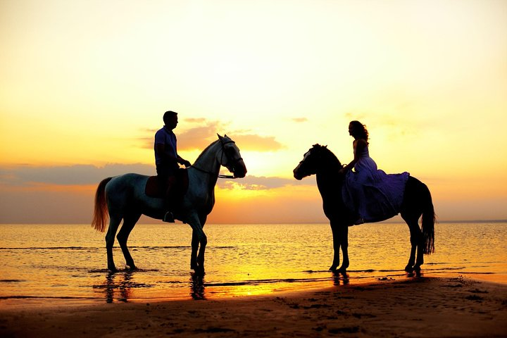 Love is in the air! Private horseback ride on the beach and sunset dinner! - Photo 1 of 9