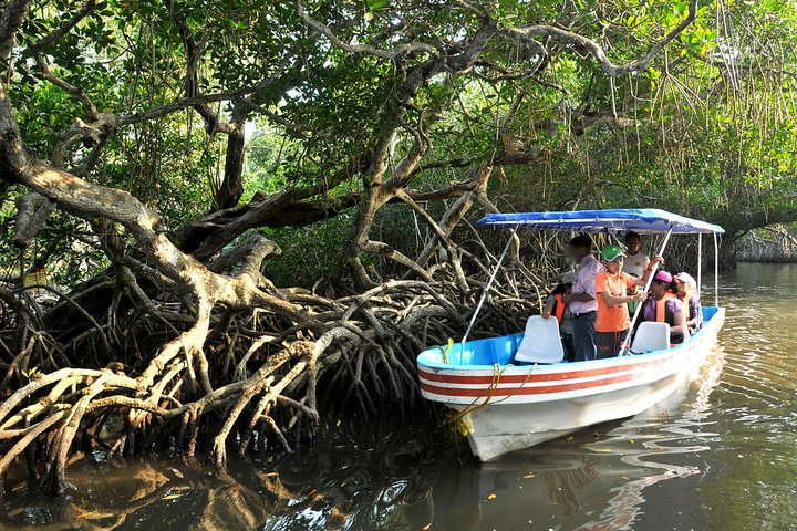 Mandinga boat trip.