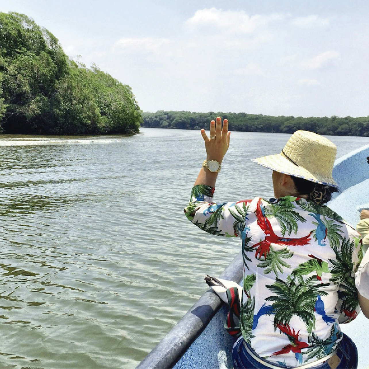 Mandinga Lake: Boat Tour + Transport from Veracruz - Photo 1 of 13