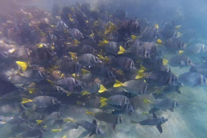 snorkeling at the islands